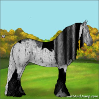 Horse Color:Void Silver Grullo Chinchilla Tobiano Brindle