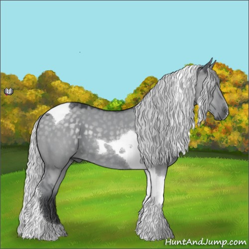 Horse Color:Silver Grullo Chinchilla Tobiano 
