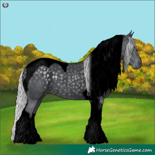 Horse Color:Void Silver Black Chinchilla Tobiano 
