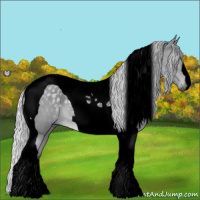 Horse Color:Void Silver Grullo Chinchilla Tobiano 