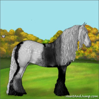 Horse Color:Void Silver Grullo Chinchilla Tobiano 