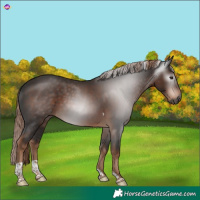 Horse Color:Gray Liver Chestnut Tobiano 