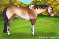 Horse Color:Bay Onyx Tobiano 