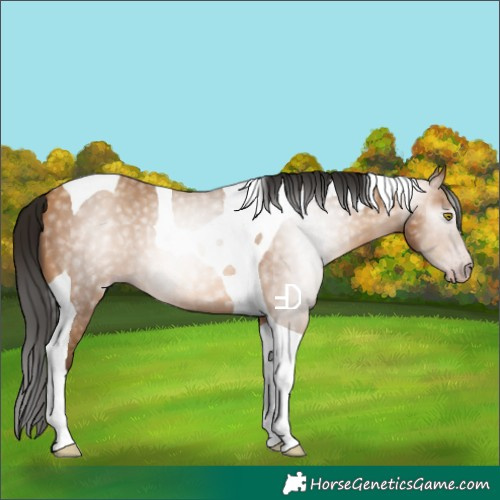 Horse Color:Gray Amber Champagne Tobiano 