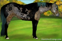 Horse Color:Void Watercolor Brown Ice Onyx Tobiano Rabicano 