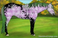 Horse Color:Void Watercolor Plaid Brown Ice Sabino Tobiano Appaloosa Rabicano