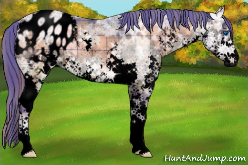 Horse Color:Void Watercolor Plaid  Bay Ice Onyx Sabino Splash Appaloosa 