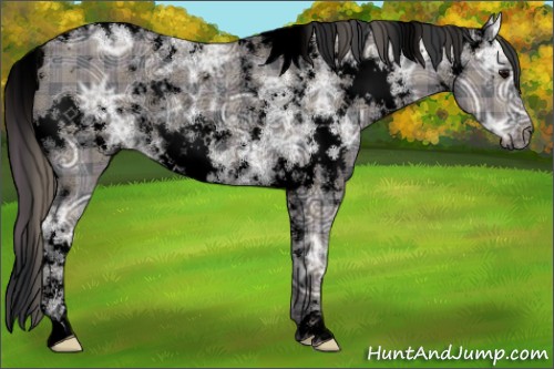 Horse Color:Void Plaid  White Spotted Black Ice Sabino Rabicano 