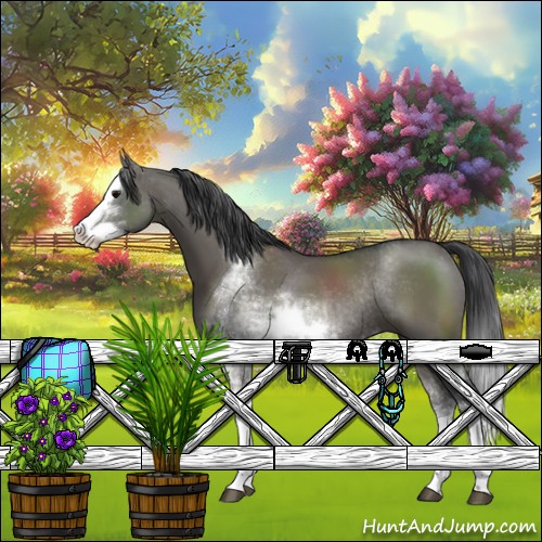 Horse Color:Grullo Sabino Splash Rabicano