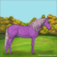Horse Color:Watercolor Silver Black 