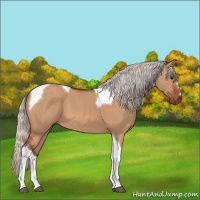 Horse Color:Silver Bay Dun Tobiano 