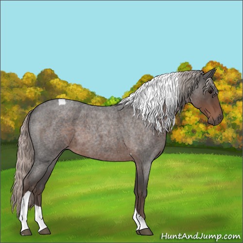 Horse Color:Silver Blue Roan Tobiano 