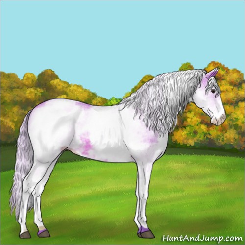 Horse Color:Watercolor White Spotted Silver Bay