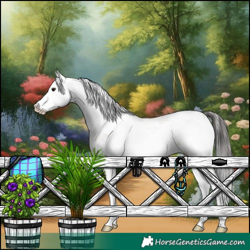 Horse Color:Brown Dun Sabino 