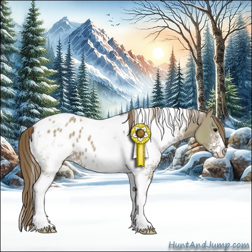 Horse Color:White Spotted Smoky Grullo Tobiano Appaloosa 