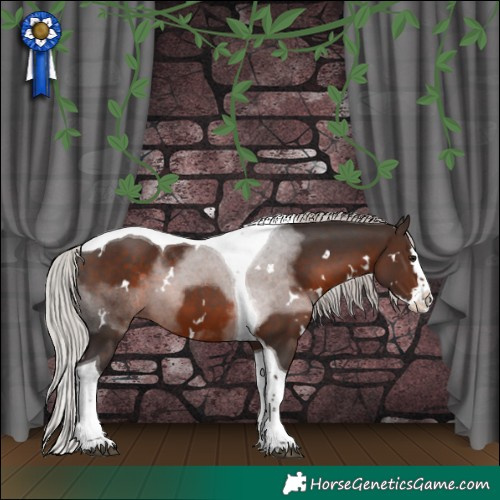 Horse Color:White Spotted Silver Brown Splash Tobiano 