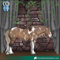Horse Color:White Spotted Liver Red Dun Splash Tobiano