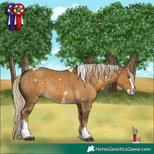 Horse Color:White Spotted Chocolate Palomino Dun Splash Tobiano 