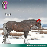 Horse Color:White Spotted Silver Brown Ice Splash 