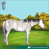 Horse Color:Brown Roan Dun Sabino Splash 