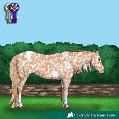 Horse Color:Chestnut Tobiano Snowcap