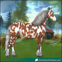 Horse Color:Silver Brown Near Leopard