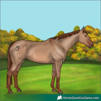 Horse Color:Red Dun 
