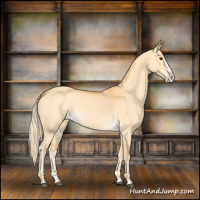 Horse Color:Palomino Dun Splash 