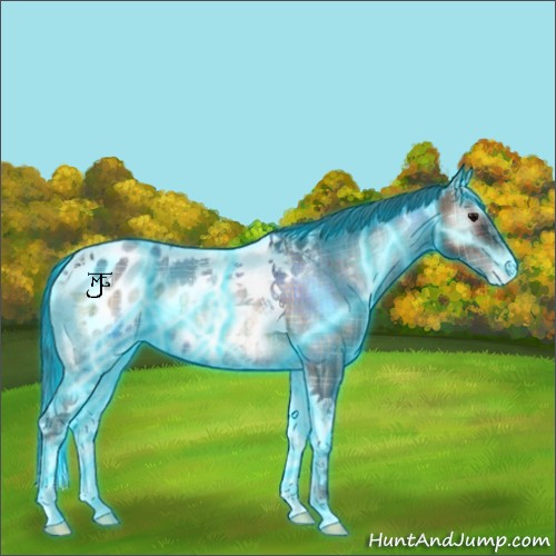 Horse Color:Thunderstruck Plaid Bay Ice Roan Onyx Tobiano Blanket Rabicano