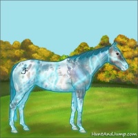 Horse Color:Thunderstruck Plaid  Bay Ice Roan Onyx Tobiano Appaloosa Rabicano 