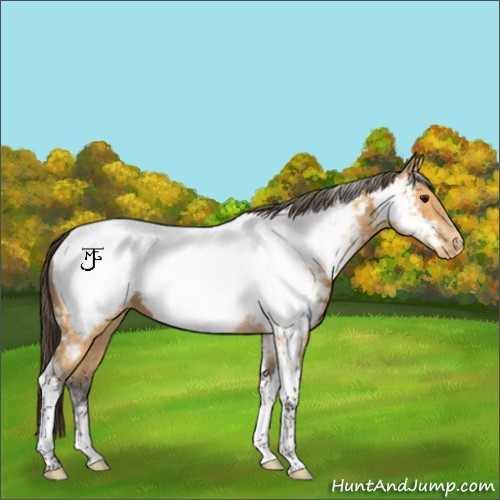 Horse Color:Buckskin Ice Tobiano Near Fewspot 