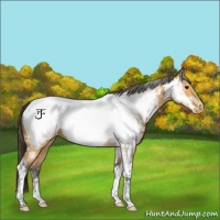 Horse Color:Buckskin Ice Tobiano Near Fewspot 