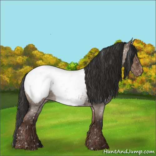 Horse Color:Liver Red Dun Roan Snowcap Rabicano 