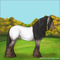 Horse Color:Liver Red Dun Roan Snowcap Rabicano