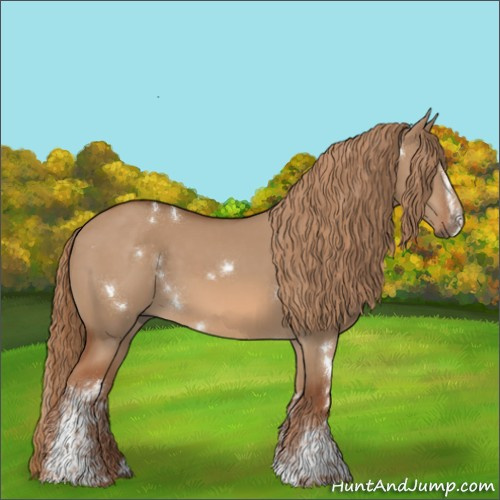 Horse Color:White Spotted Red Dun Rabicano 
