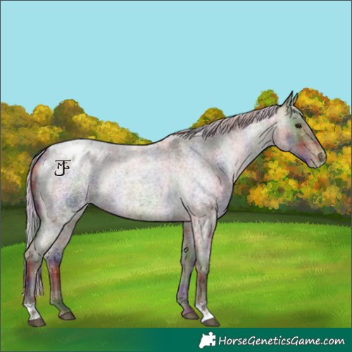 Horse Color:Nacre Plaid  Silver Brown Roan Appaloosa 