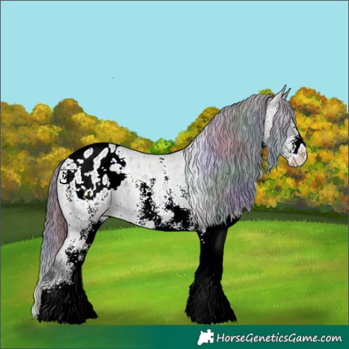 Horse Color:Nacre White Spotted Midnight Brown Ice Roan Onyx Appaloosa 
