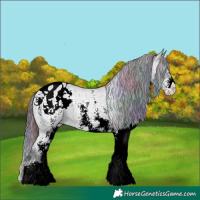 Horse Color:Nacre White Spotted Midnight Brown Ice Roan Onyx Varnish