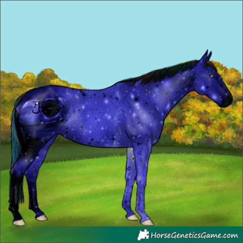 Horse Color:ERROR: UNKNOWN ANOMALY