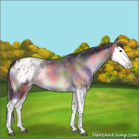 Horse Color:Nacre Liver Red Onyx Splash Blanket 