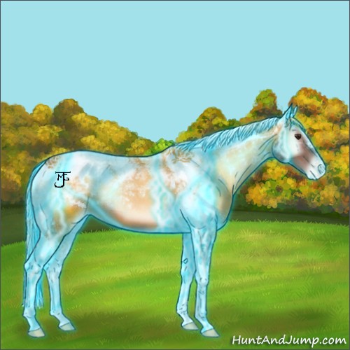 Horse Color:Thunderstruck Red Onyx Tobiano Blanket 
