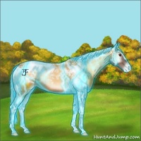 Horse Color:Thunderstruck Red Onyx Tobiano Appaloosa