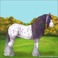 Horse Color:Nacre Amber Champagne Ice Splash Near Leopard