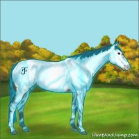 Horse Color:Thunderstruck Brown Near Fewspot