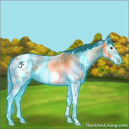 Horse Color:Thunderstruck White Spotted Buckskin Ice Frame Appaloosa Rabicano 
