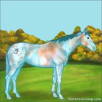Horse Color:Thunderstruck White Spotted Buckskin Ice Frame Appaloosa Rabicano 