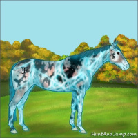 Horse Color:Void Thunderstruck Bay Ice Onyx Tobiano Near Leopard 
