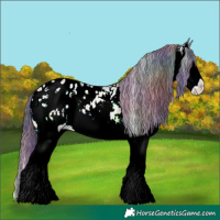 Horse Color:Nacre White Spotted Bay Ice Onyx Appaloosa 