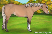 Horse Color:Silver Bay Dun