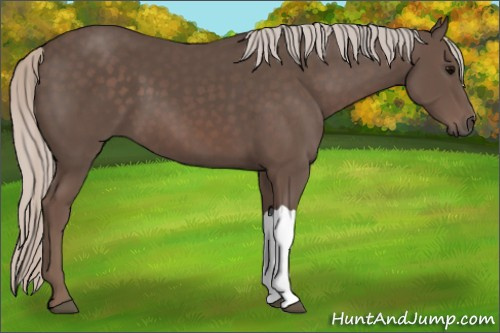 Horse Color:Silver Black 